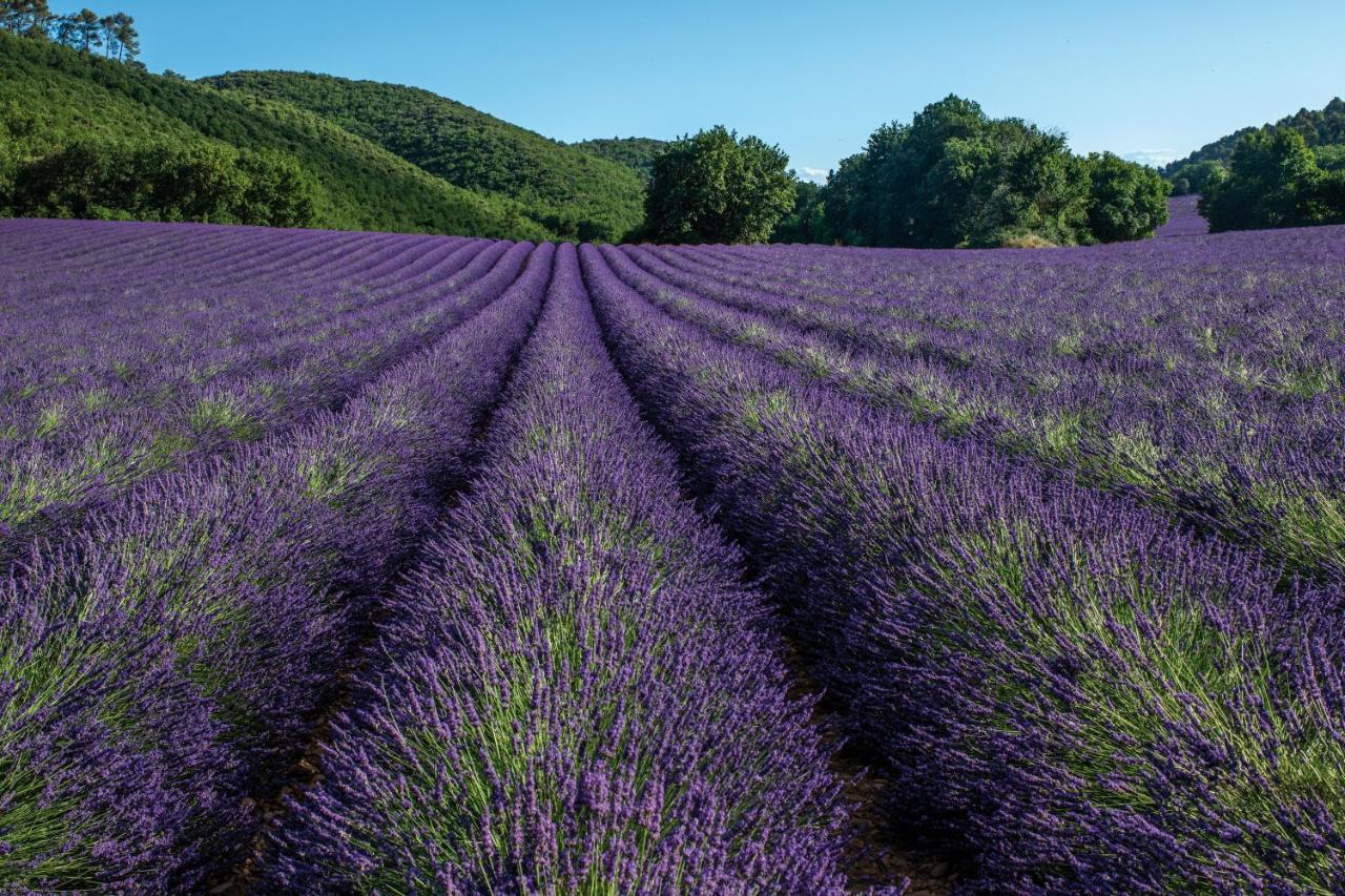 Club Vacances Bleues Domaine De Chateau Laval Gréoux-les-Bains Dış mekan fotoğraf